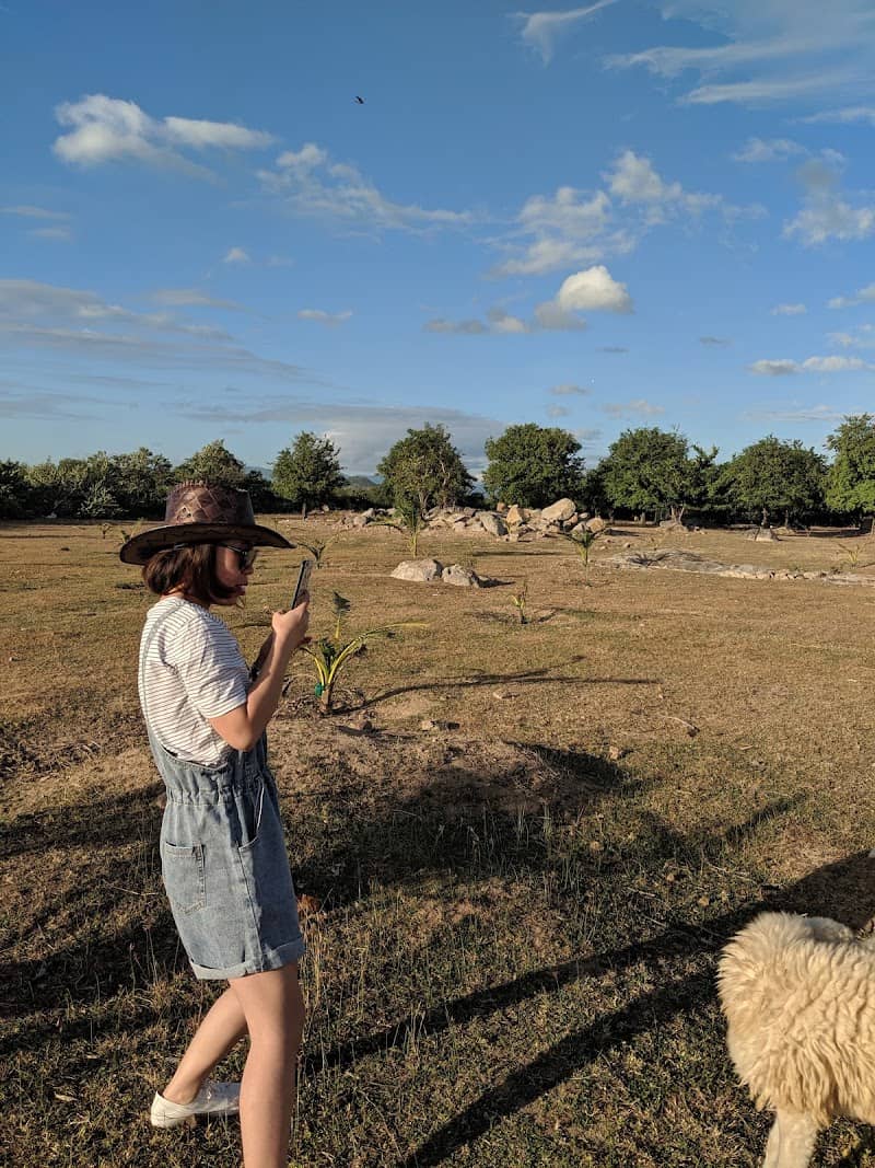 Đồi cừu Tuấn Quảng - Khung cảnh