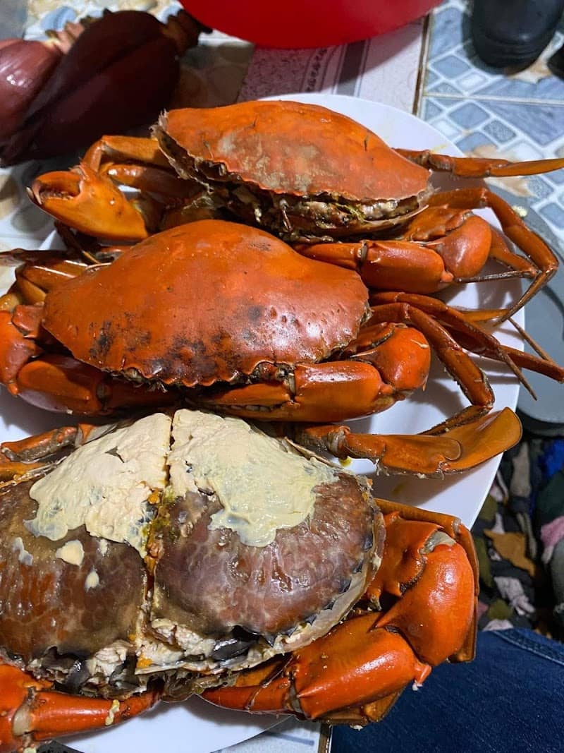 Du lịch Đất Mũi Cà Mau