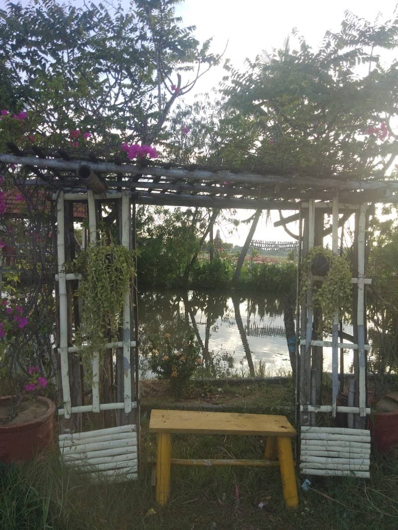 Hồ sen Mỹ Hưng Ninh Thuận