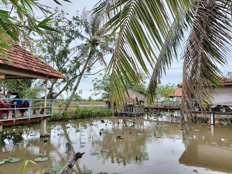 Review Sen Mỹ Hưng – Cẩm Nang Du Lịch