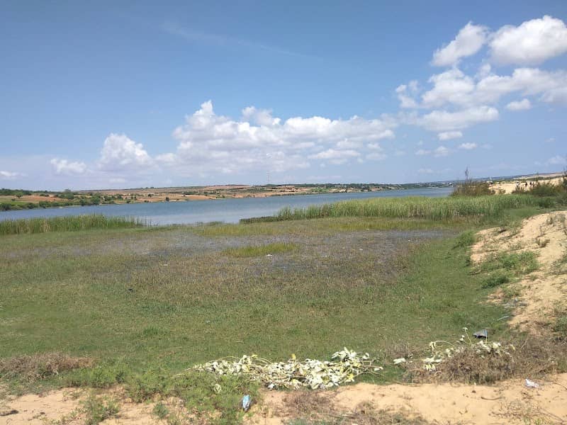 Cưỡi đà điểu tại Bàu Trắng