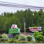 Review Du Lịch Sinh Thái Cộng Đồng Đất Mũi Hoàng Hôn – Cẩm Nang Du Lịch