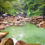 Review Du Lịch Sinh Thái Thủy Châu – Cẩm Nang Khám Phá Thiên Đường Xanh Gần Sài Gòn