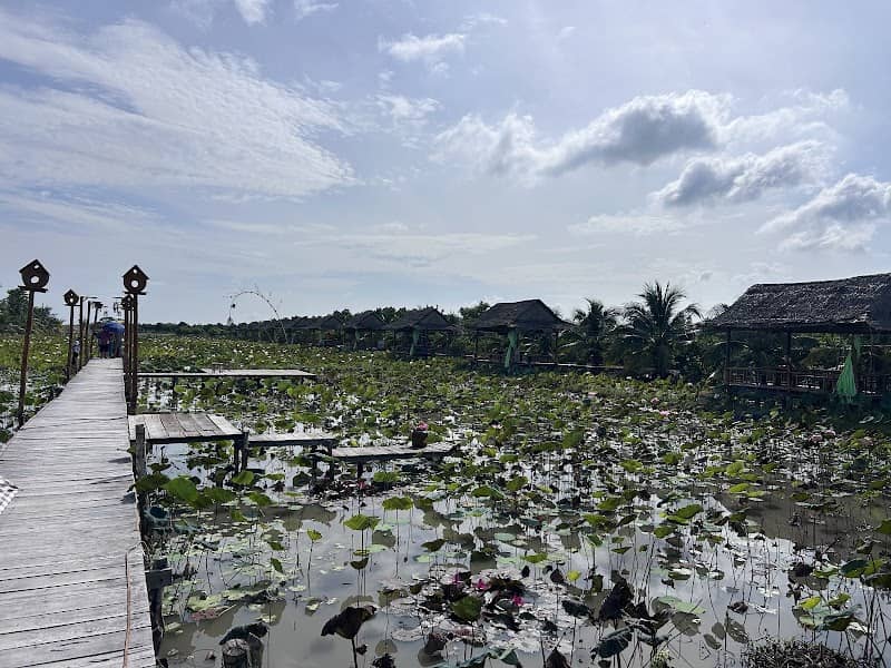 Cảnh quan tại Tiên Sen Đồng Tháp