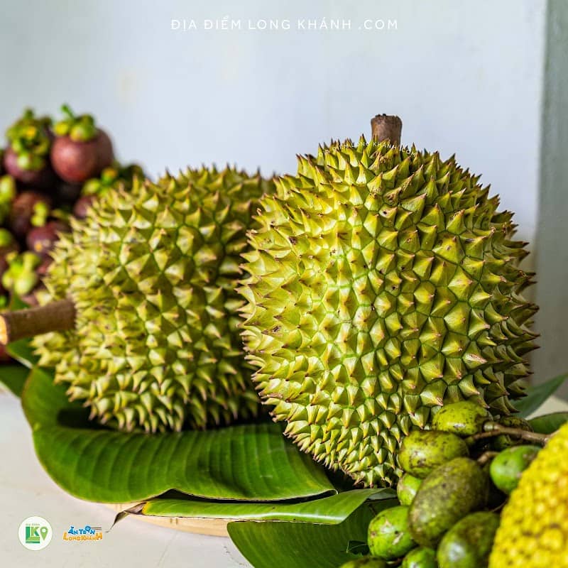 Thưởng thức ẩm thực miệt vườn tại Long Khánh