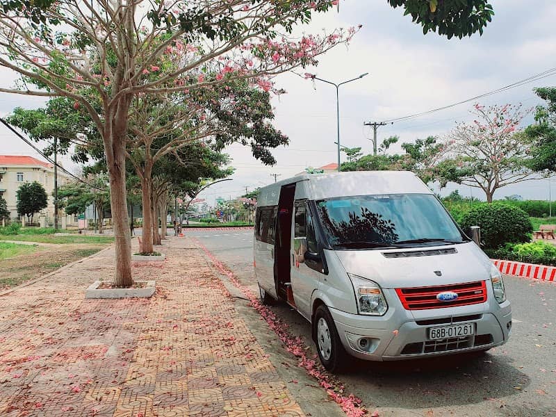 Vẻ đẹp Đường Hoa Kèn Hồng