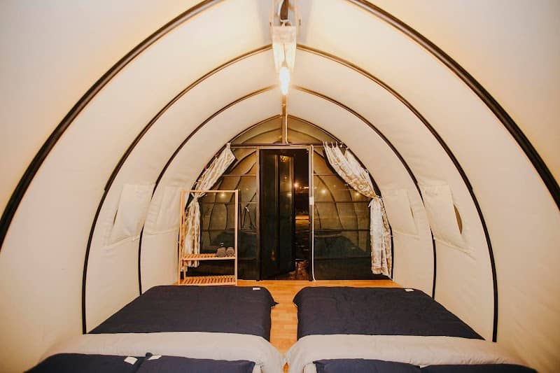 Forest Scent Glamping Chill: Trải Nghiệm Cắm Trại Sang Trọng Giữa Rừng Thông Đà Lạt