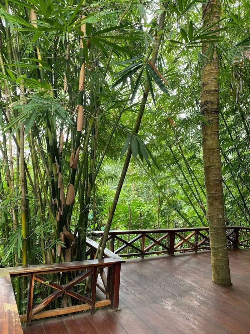 Hoạt động vui chơi ở Garden Ville Vân Trang