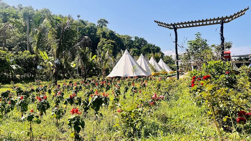 Tiệc BBQ ngoài trời