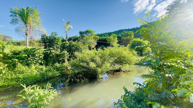 Phòng container view suối