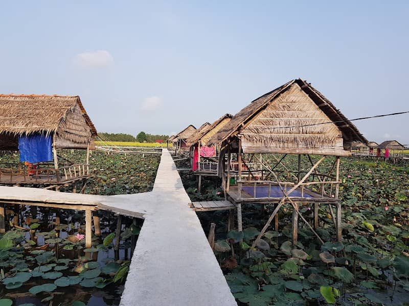 Hai Lua Homestay