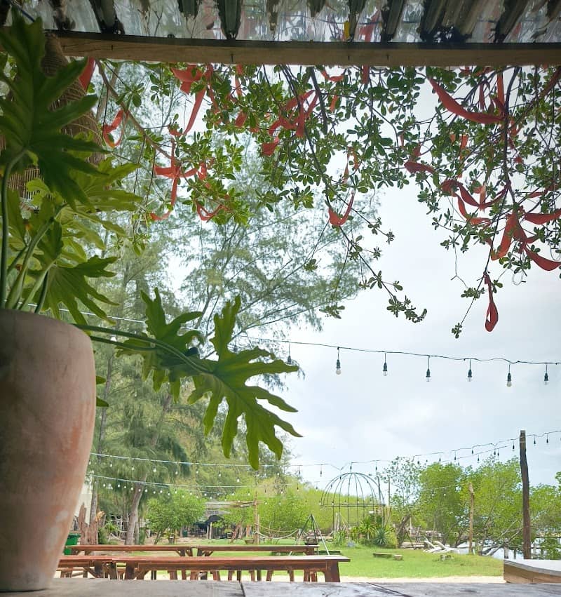 Review Hang Sói Glamping – Cẩm Nang Du Lịch