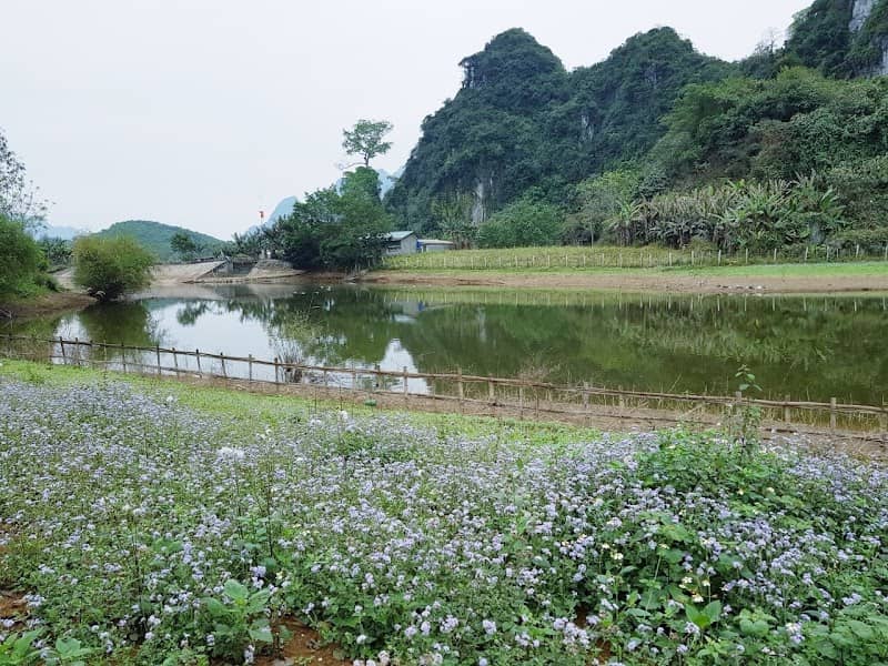 Ảnh minh họa Hoà Bình Hideaway Camping