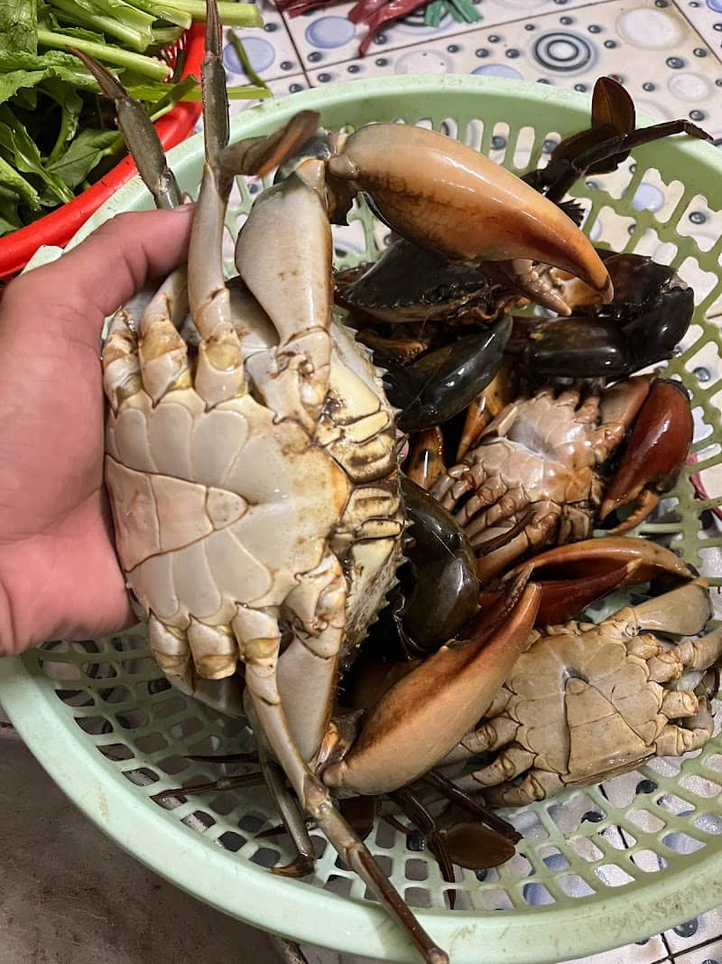 Hoạt động soi ba khía ở Năm Hướng