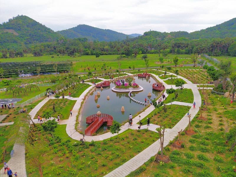 KDL Điện Mặt Trời An Hảo - Đồi cừu