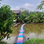 KDL sinh thái - Farmstay: Hoa Rừng U Minh Có Gì Hấp Dẫn? Review & Kinh Nghiệm Du Lịch Chi Tiết