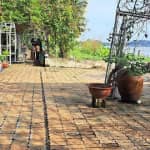 Review KDL Sinh Thái Ven Sông Bình Mỹ – Trải Nghiệm Cắm Trại & Dã Ngoại Gần Sài Gòn