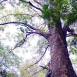 Review Khu di tích Núi Đất – Cẩm Nang Du Lịch "Chill" Cực Đã