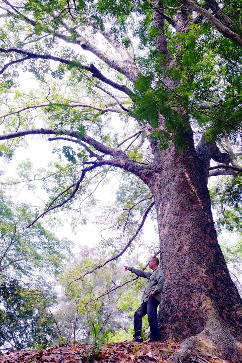 Review Khu di tích Núi Đất – Cẩm Nang Du Lịch "Chill" Cực Đã