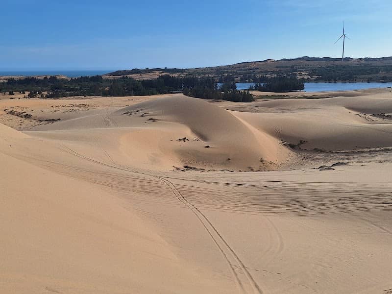 Xe jeep trên đồi cát Bàu Trắng