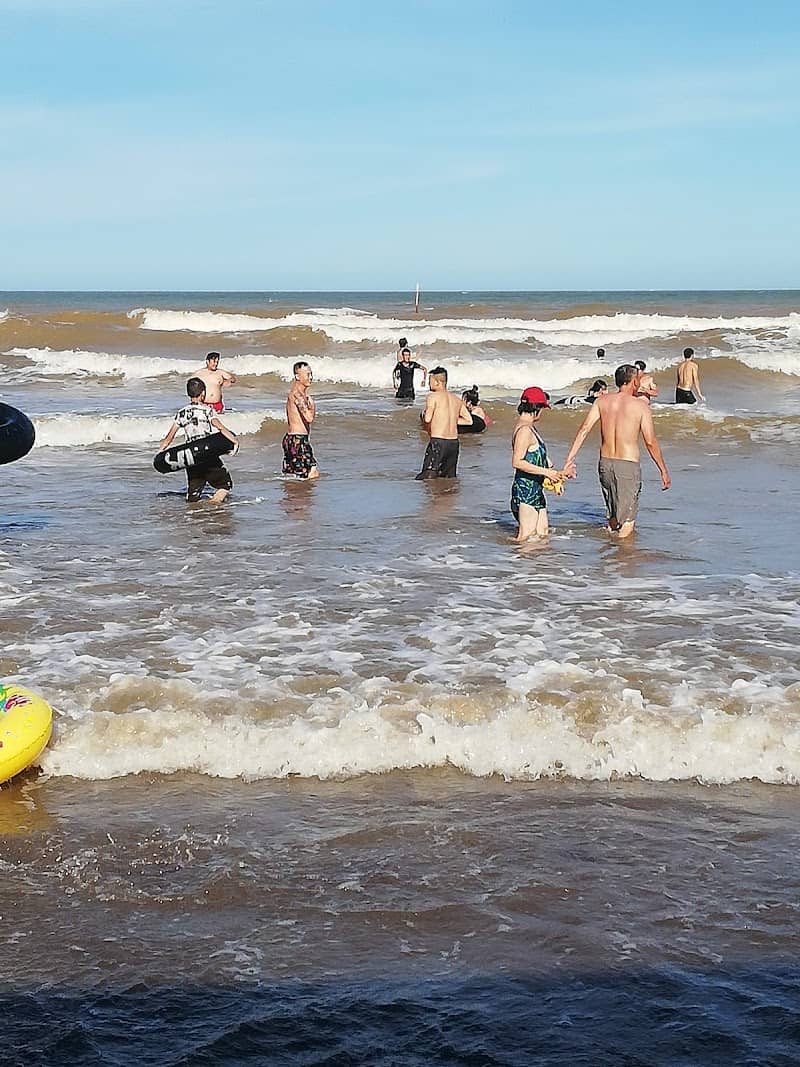 Con đường ra biển Cồn Vành với hàng cây phi lao xanh mát, nhìn giống đường ra đất mũi