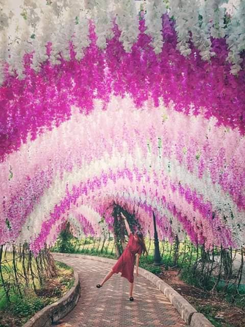 Cầu treo Khu du lịch Bửu Long