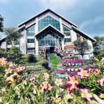 Review Khu Du Lịch Cáp Treo Núi Chứa Chan – Cẩm Nang Du Lịch "Chill" Hết Nấc