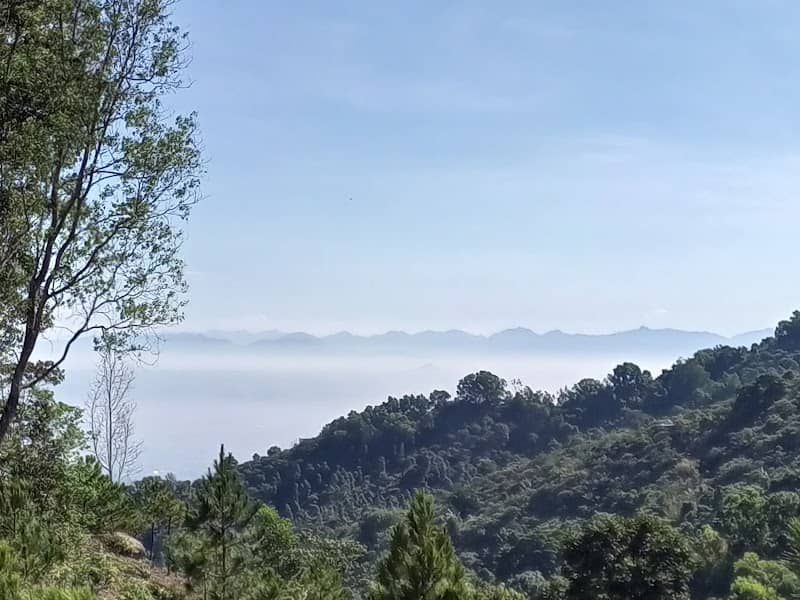 Review núi Chứa Chan