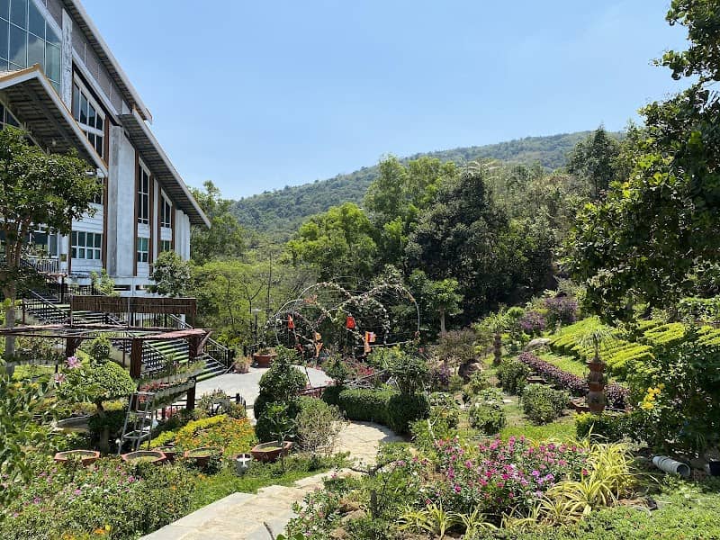 Cáp treo núi Chứa Chan