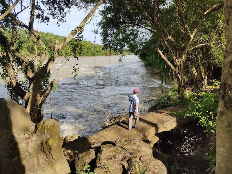 Khu Du Lịch Hàn Tam Đẳng cầu gỗ