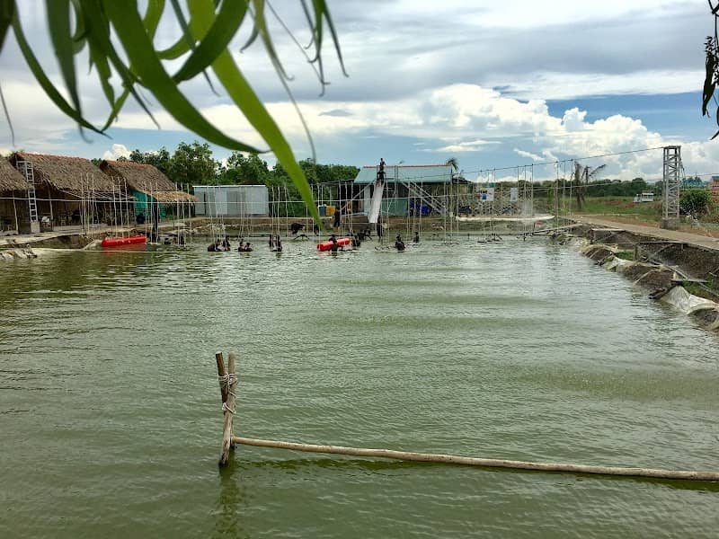 Nhà sàn và ao sen