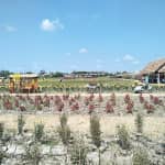 Review Khu du lịch miệt vườn Cánh Đồng Hoa – Tất Tần Tật Kinh Nghiệm Du Lịch Chi Tiết