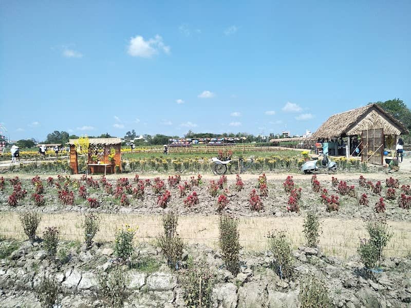 Review Khu du lịch miệt vườn Cánh Đồng Hoa – Tất Tần Tật Kinh Nghiệm Du Lịch Chi Tiết