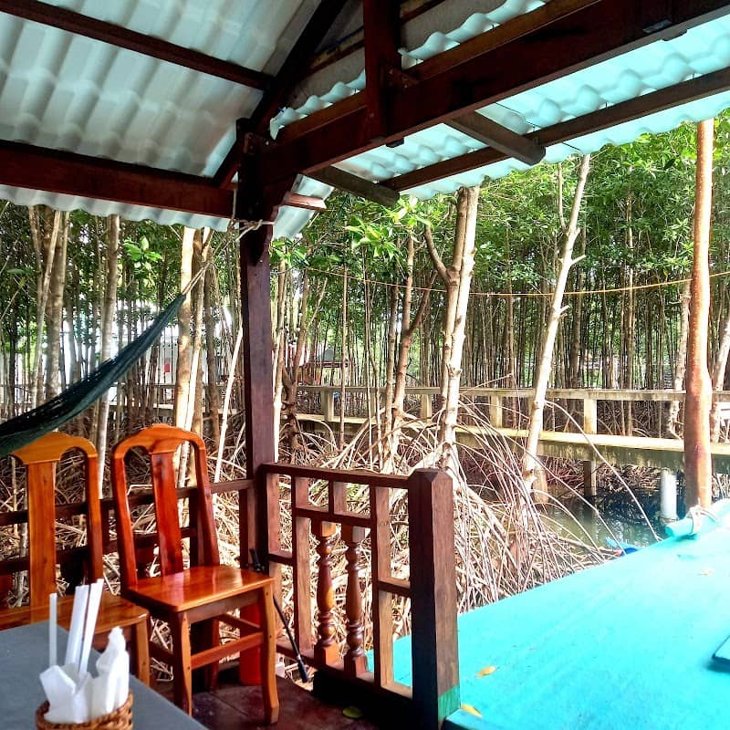 Cầu ván trong rừng đước tại Bình Minh