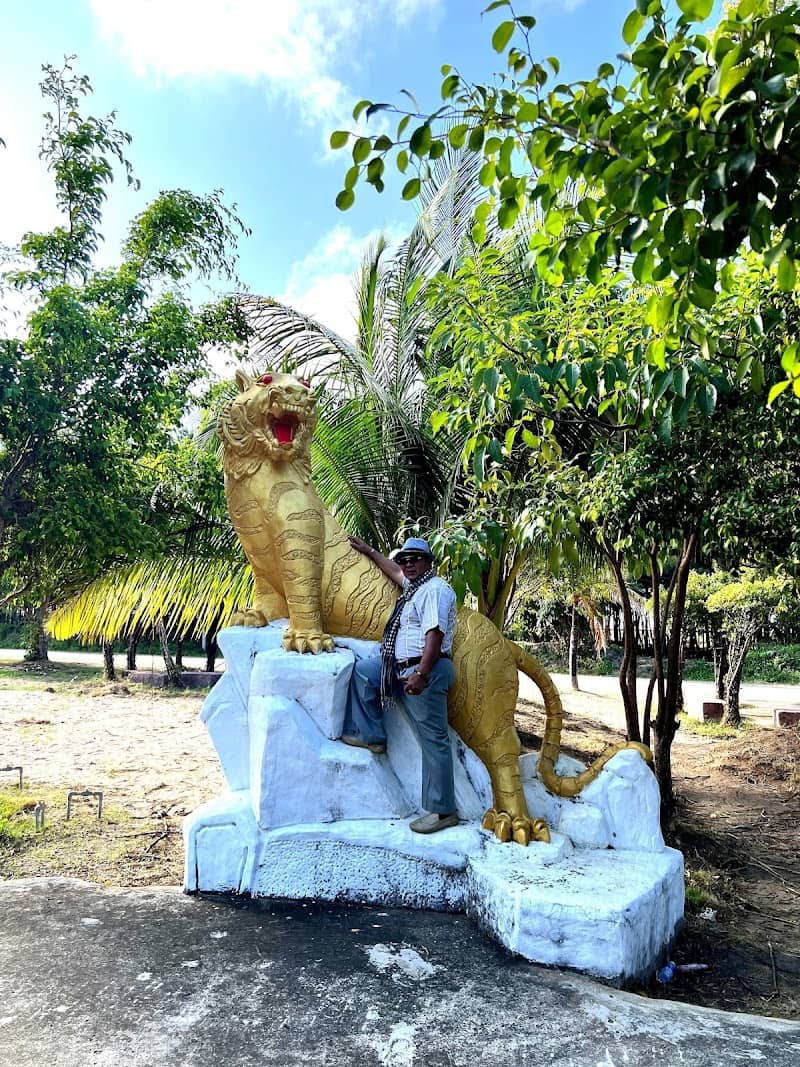 Chèo xuồng khám phá rừng đước Bình Minh