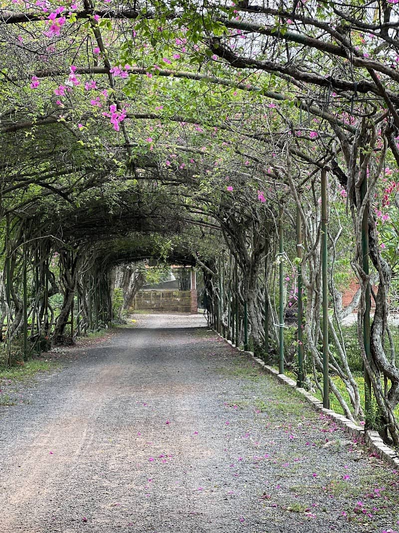 Hoạt động vui chơi Củ Chi Fosaco