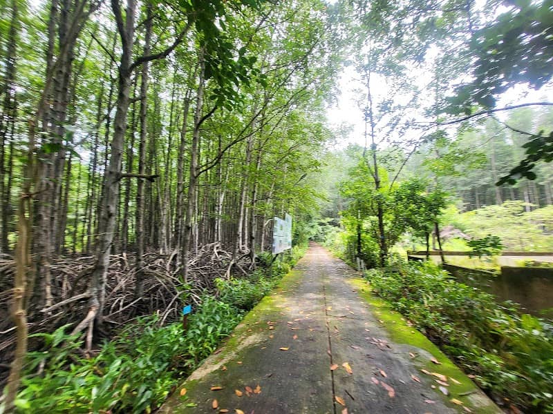 Khu Du Lịch Sinh Thái Dần Xây