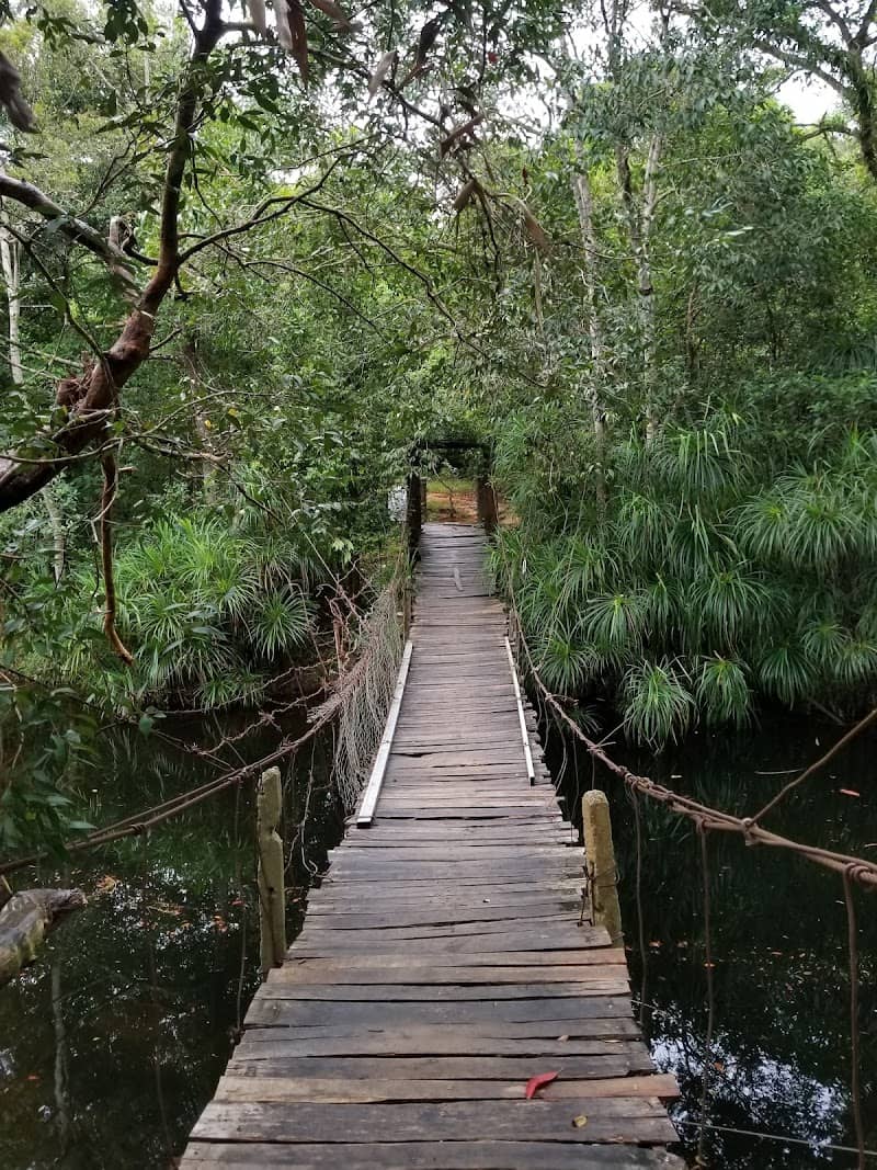 Hoạt động vui chơi tại Suối Đá Bàn