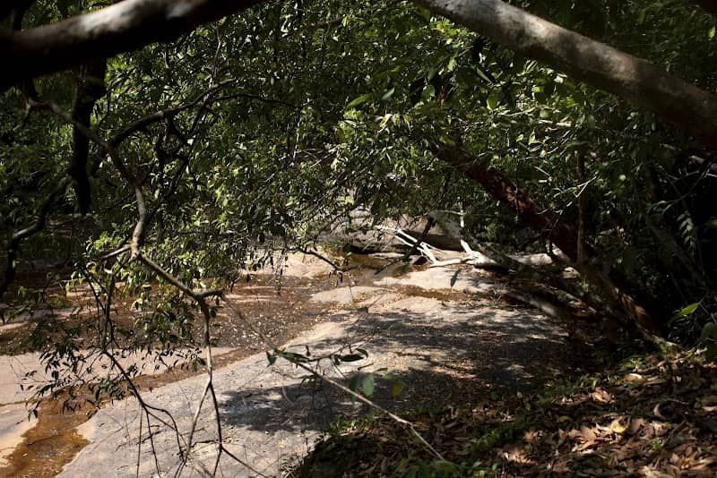 Resort gần Suối Đá Bàn