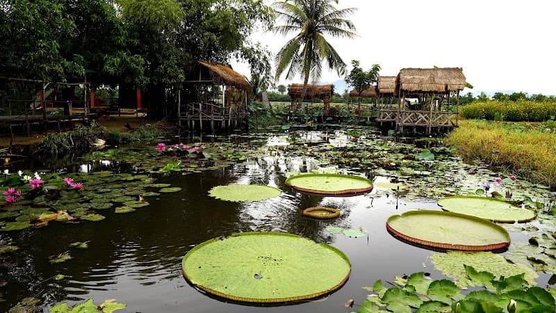 Chòi lá giữa đầm sen