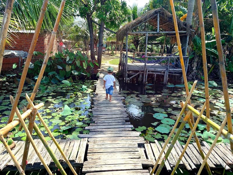 Chèo thuyền ngắm sen