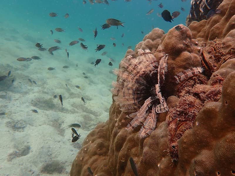 Kimie's Tours Group Photo