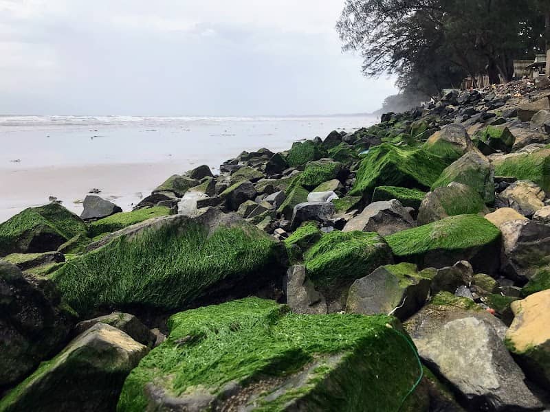 Hải sản tươi sống Tuy Phong