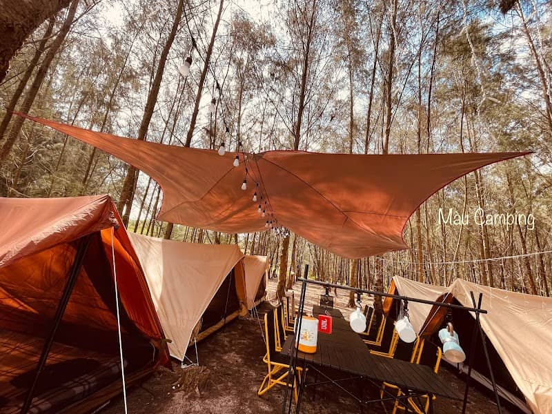 Hoạt động vui chơi tại MÀU Camping