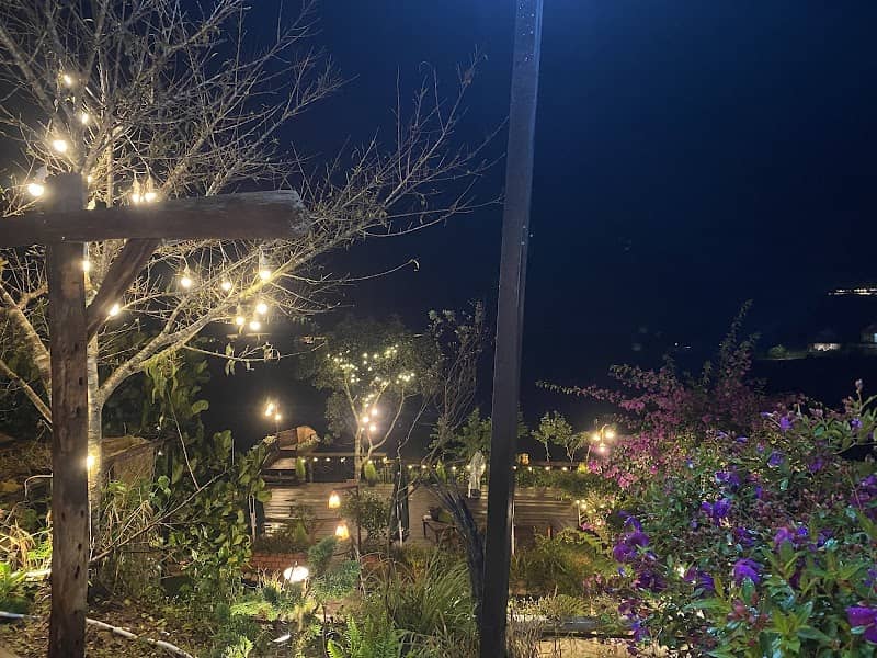 View Mây Glamping Đà Lạt