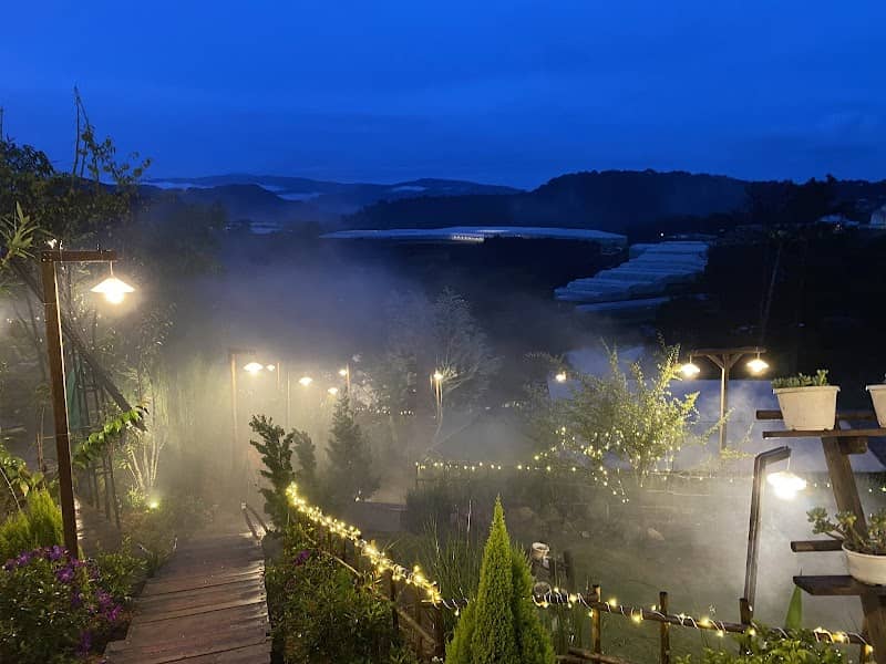 Mây Glamping Đà Lạt: Săn Mây Ngay Tại Lều - Trải Nghiệm Khó Quên!