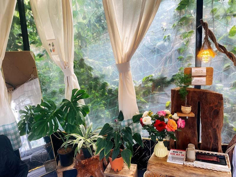 Cắm trại sang trọng Đà Lạt