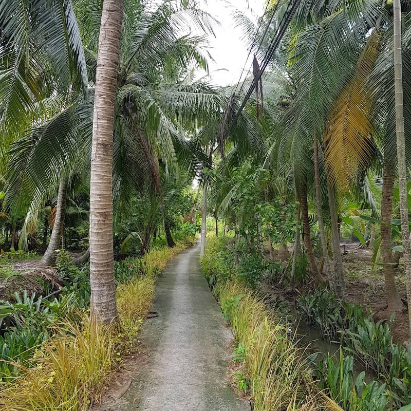 Góc vườn xanh mát tại Mê Kông Homestay