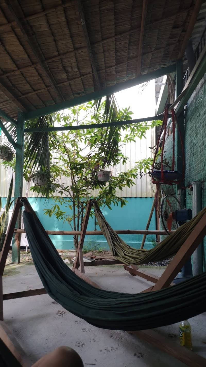 Buổi sáng bình yên tại Mê Kông Homestay