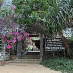 美奈仙女溪 Có Gì Hấp Dẫn? Review & Kinh Nghiệm Du Lịch Chi Tiết